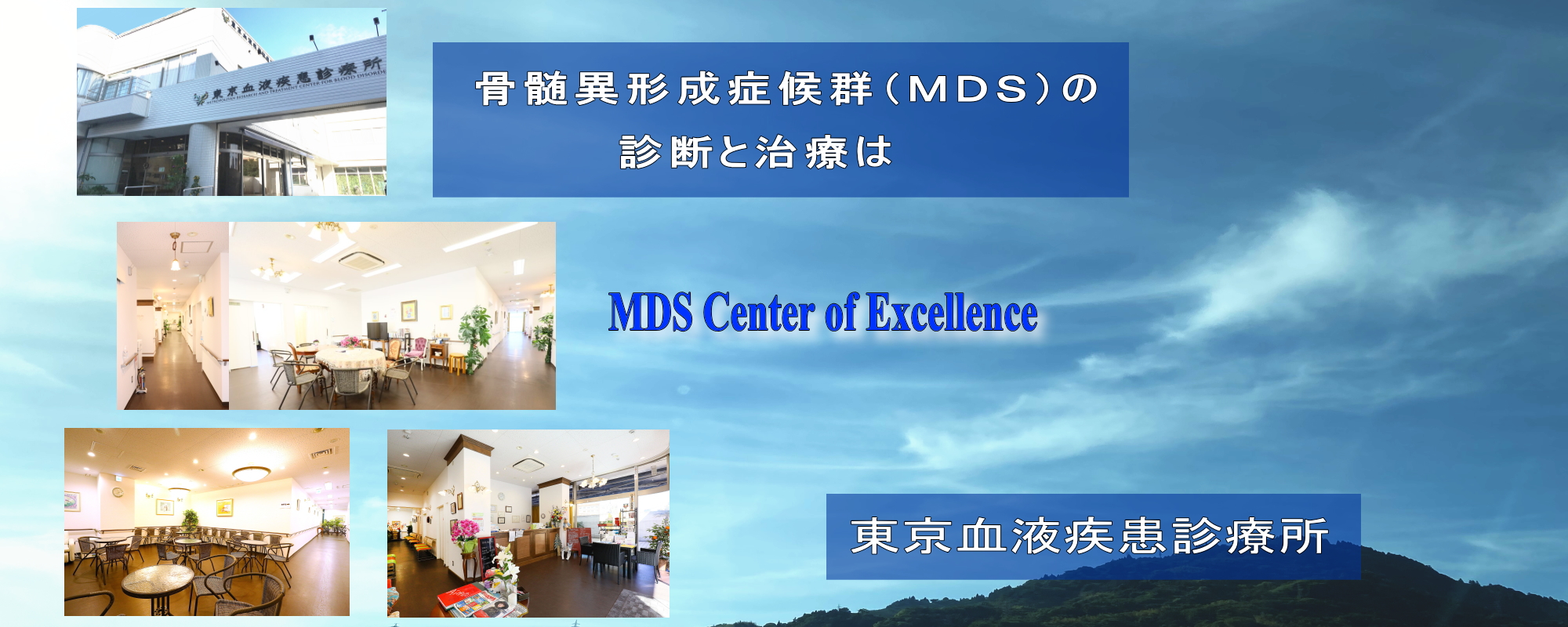 MDS Center of Excellence