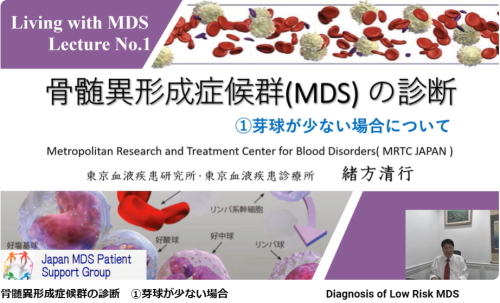 骨髄異形成症候群の診断と治療